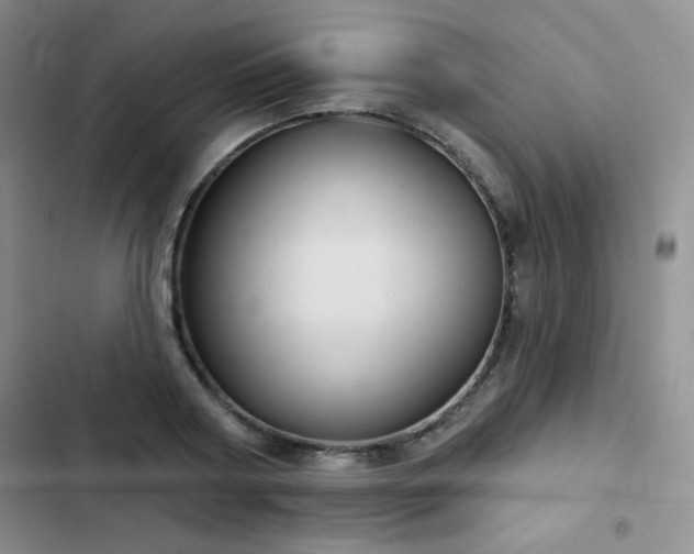 X0000103150794200808221330