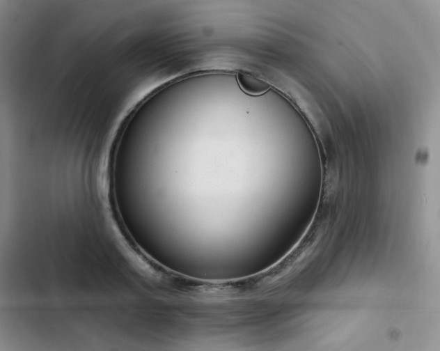 X0000103150795200808221330