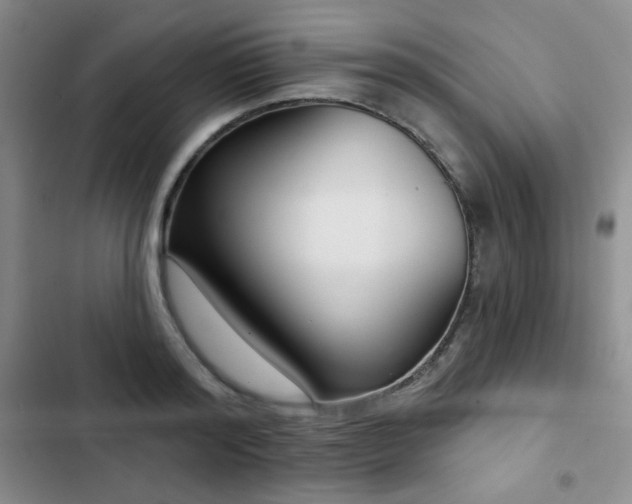 X0000103150796200808221330