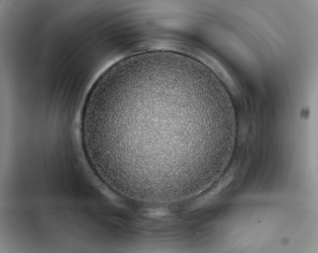 X0000103150798200808221330