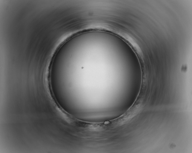 X0000103150799200808221330
