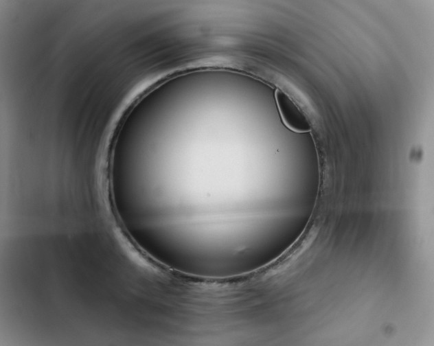 X0000103150800200808221330