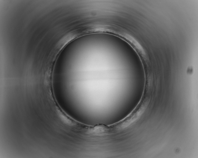 X0000103150801200808221330