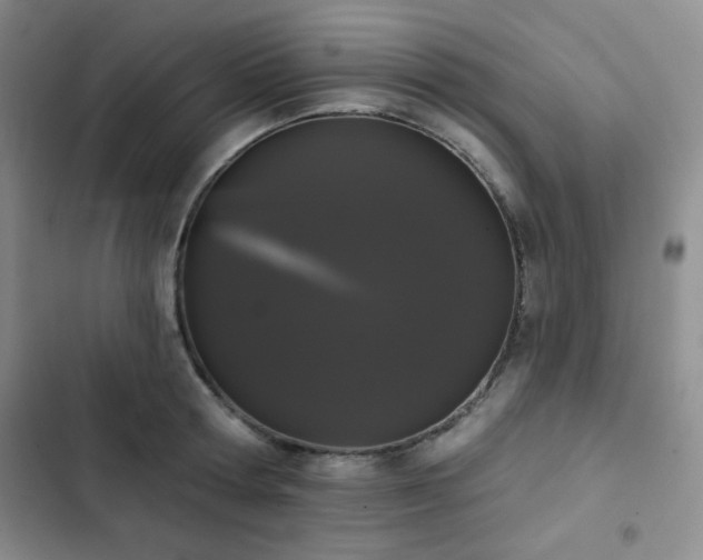 X0000103150802200808221330