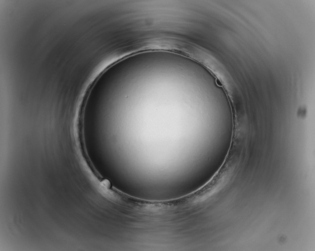 X0000103150803200808221330
