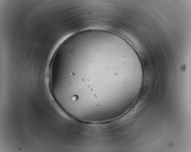 X0000103150804200808221330