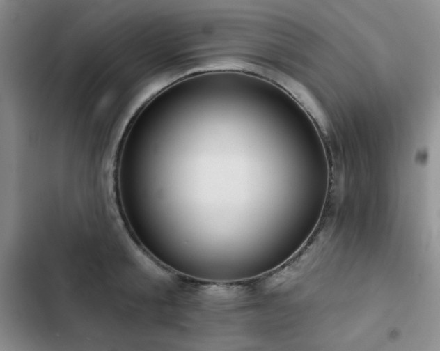 X0000103150805200808221330