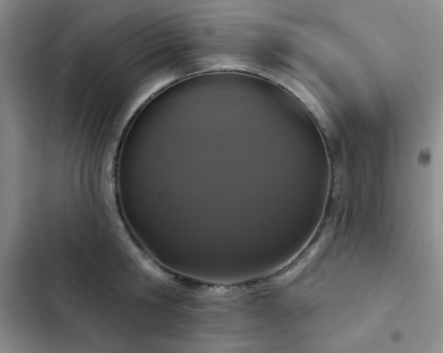 X0000103150806200808221330