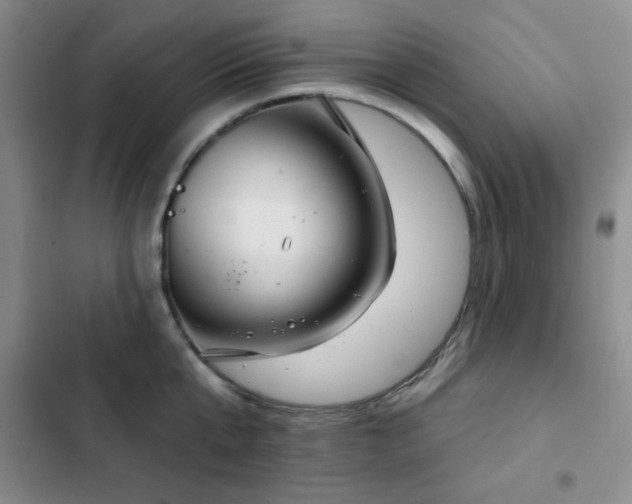 X0000103150807200808221330