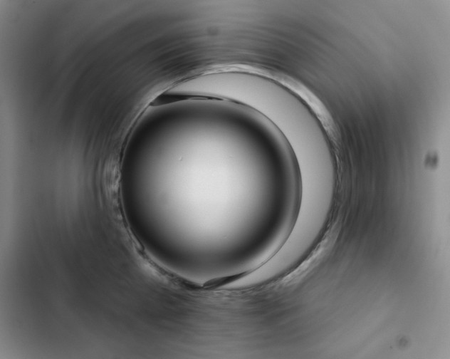 X0000103150809200808221330