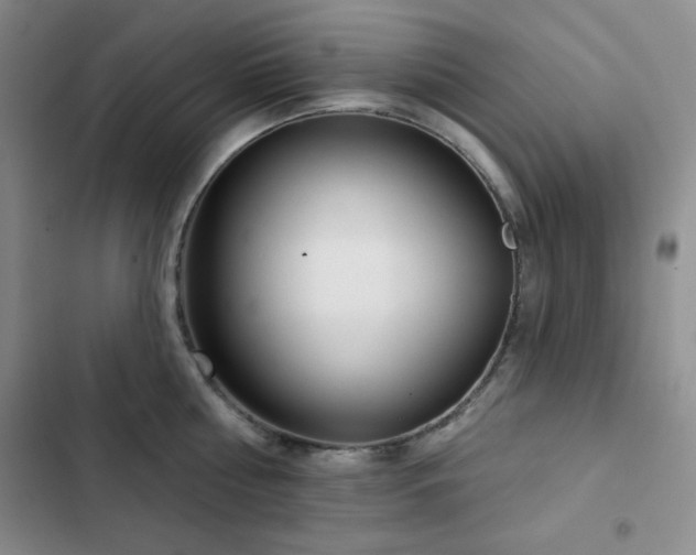 X0000103150810200808221330
