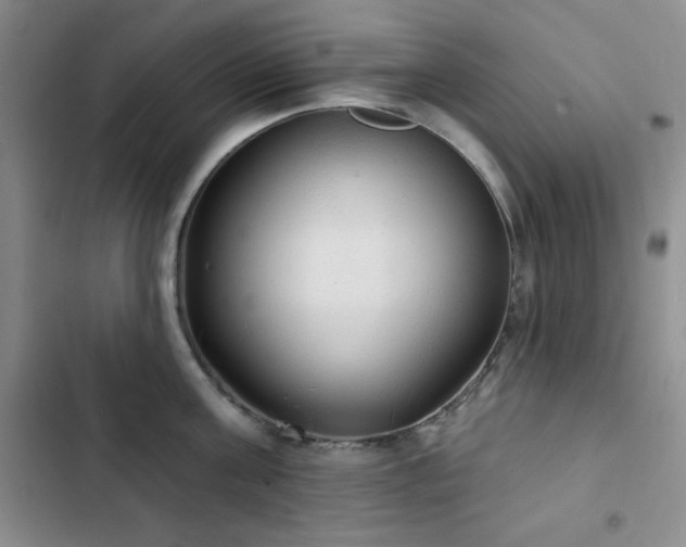 X0000103150811200808221330