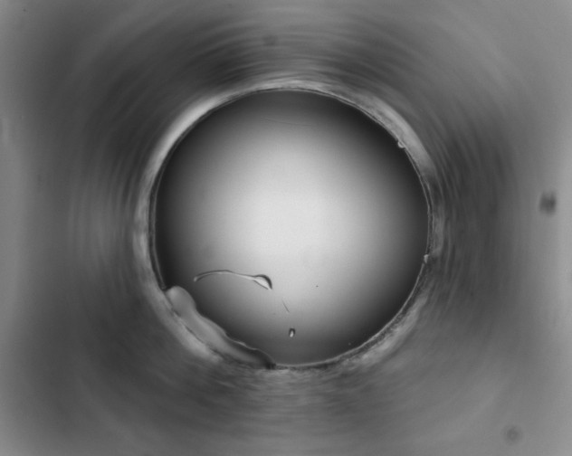 X0000103150812200808221330