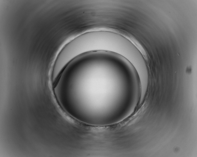 X0000103150813200808221329