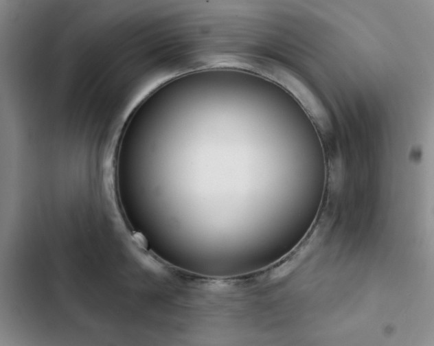 X0000103150814200808221329