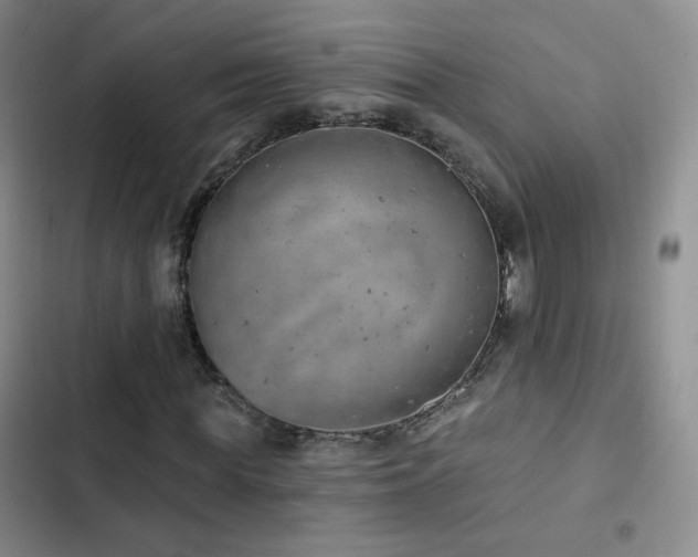 X0000103150819200808221328