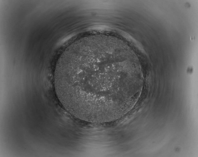 X0000103150822200808221329