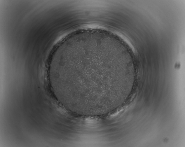 X0000103150823200808221329