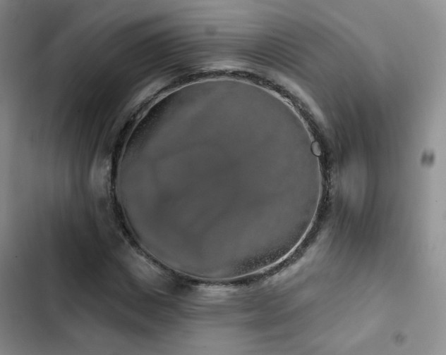 X0000103150825200808221329
