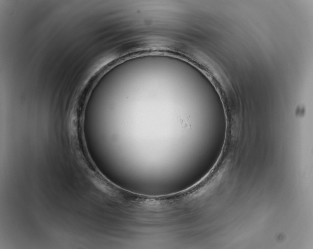 X0000103150827200808221329