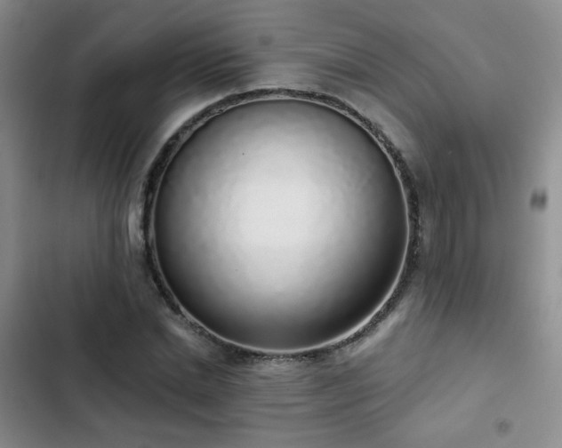 X0000103150830200808221329