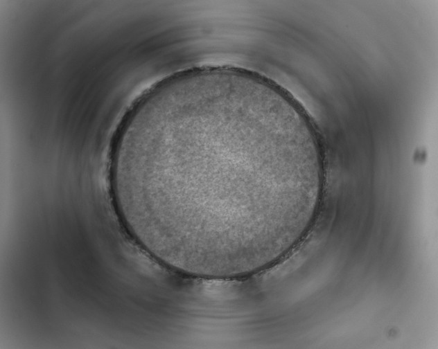 X0000103150832200808221329