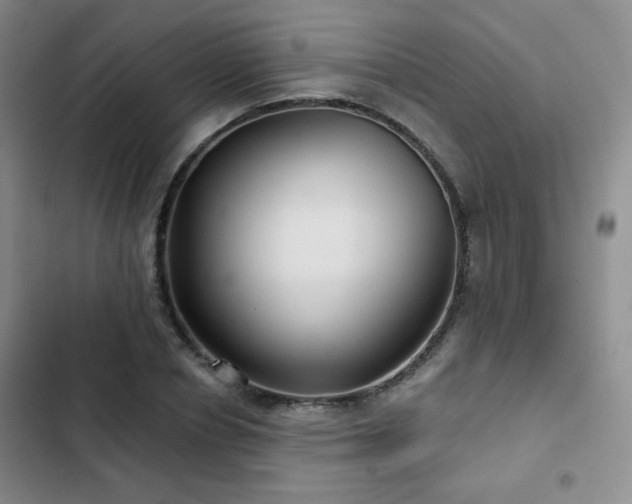 X0000103150834200808221329