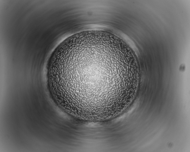X0000103150835200808221329