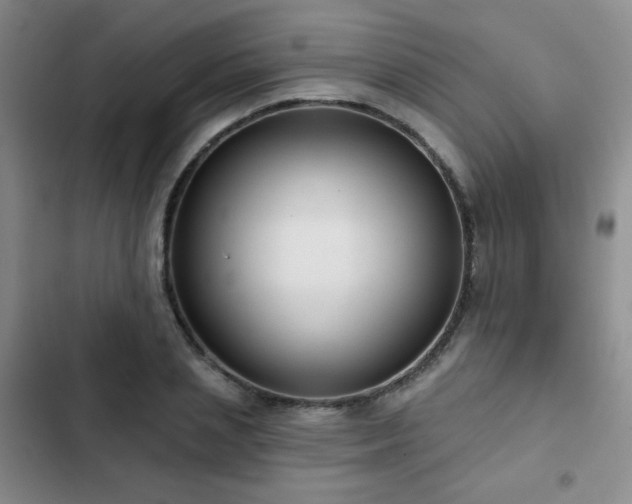 X0000103150837200808221329