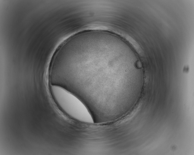 X0000103150840200808221329