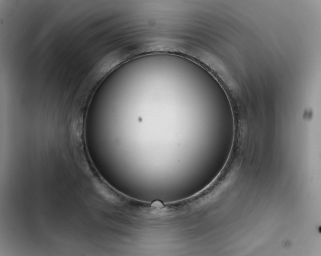 X0000103150841200808221329