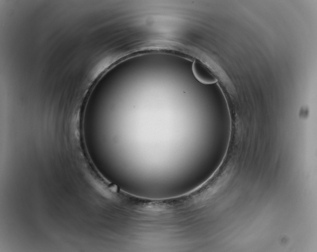X0000103150842200808221329