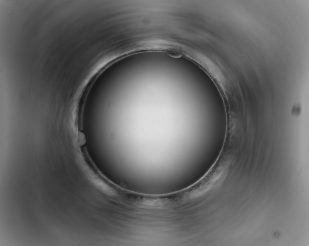 X0000103150843200808221329