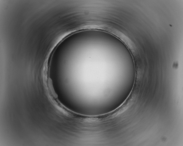 X0000103150844200808221329