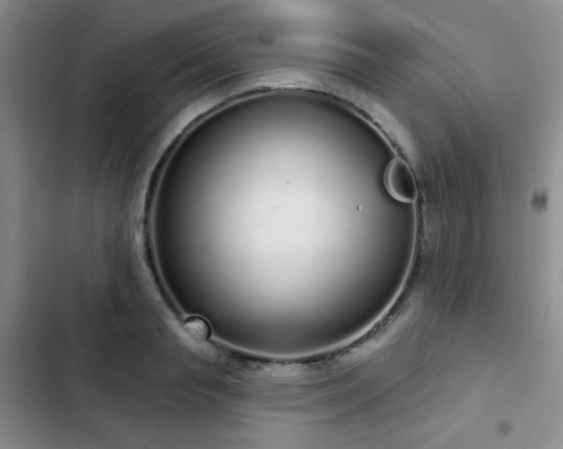 X0000103150845200808221329