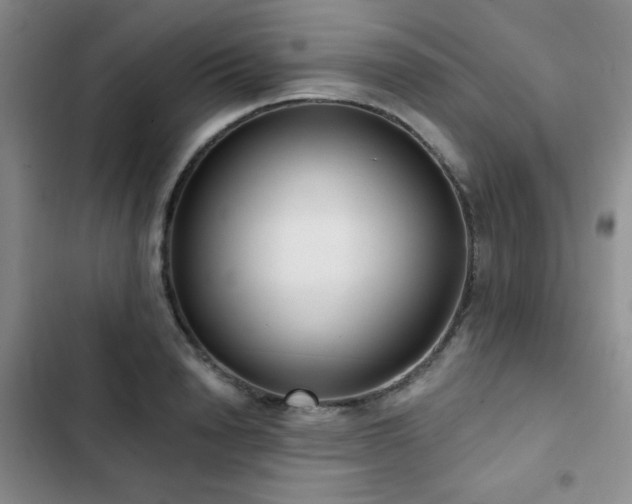 X0000103150846200808221329