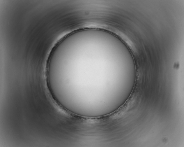 X0000103150848200808221329