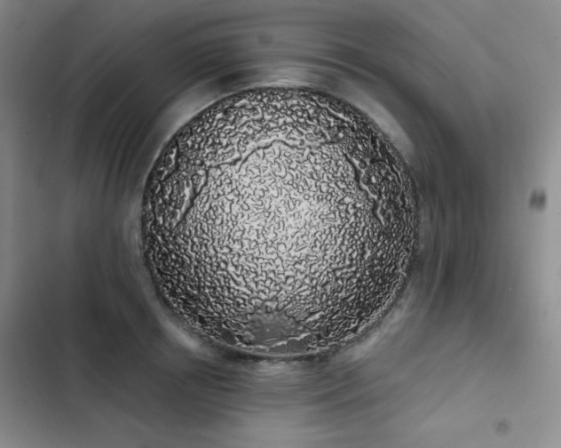 X0000103150850200808221329