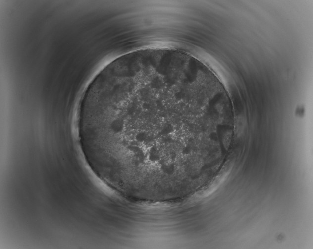 X0000103150851200808221329