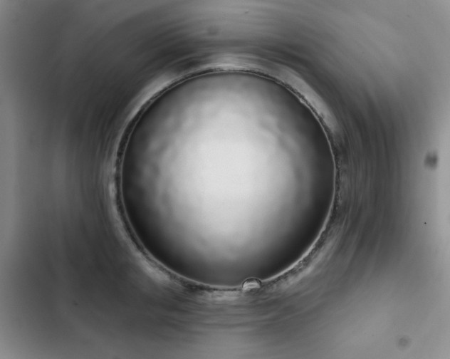 X0000103150853200808221329