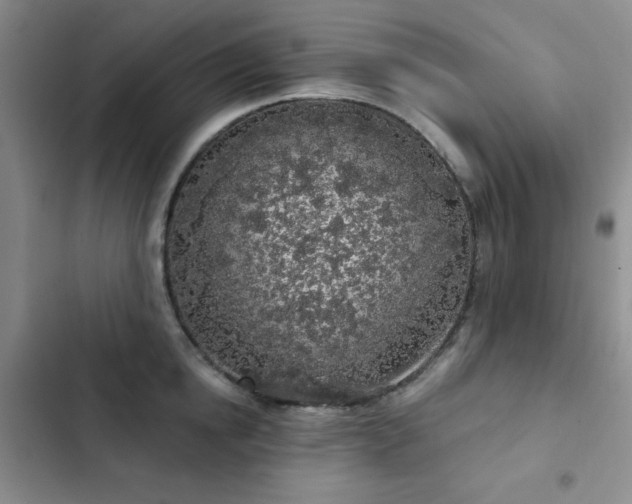 X0000103150854200808221329