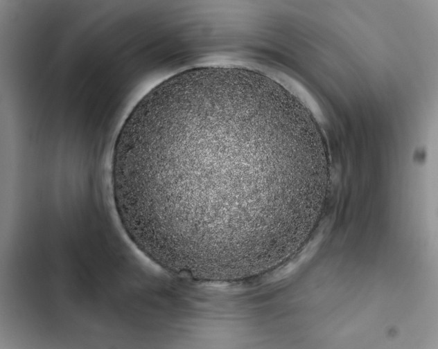 X0000103150855200808221329