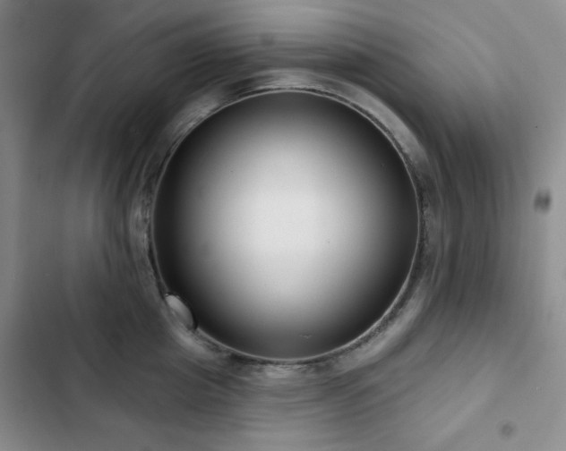X0000103150857200808221329