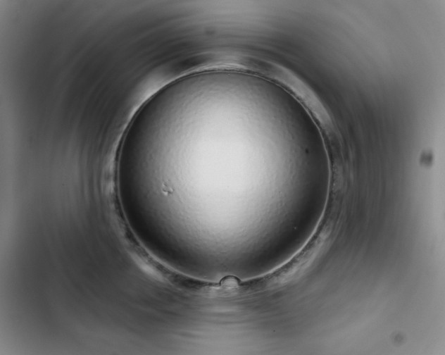 X0000103150858200808221329