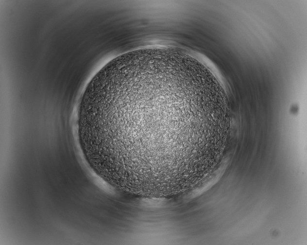 X0000103150859200808221329
