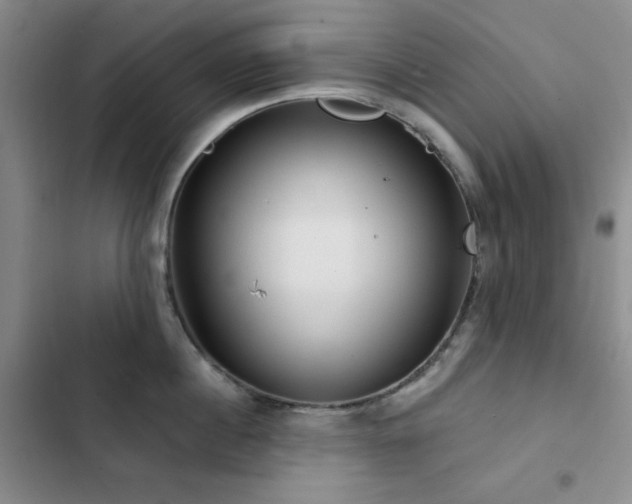 X0000103150860200808221329