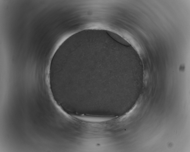 X0000103150863200808221329
