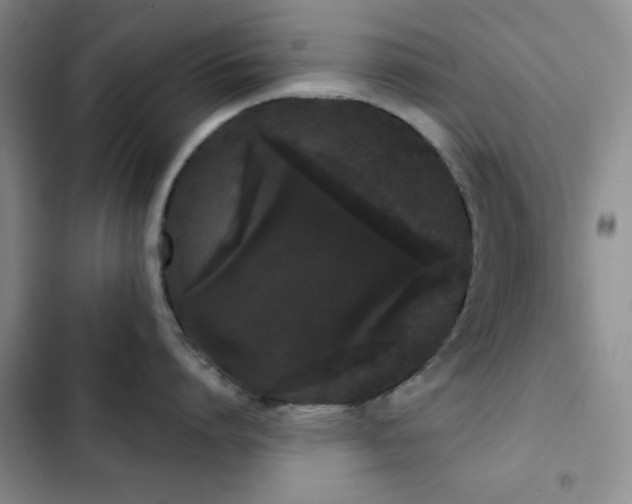 X0000103150864200808221329
