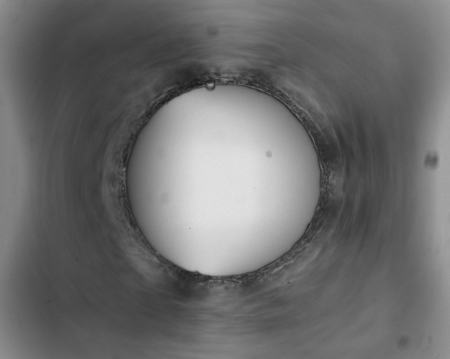 X0000103150865200808221328