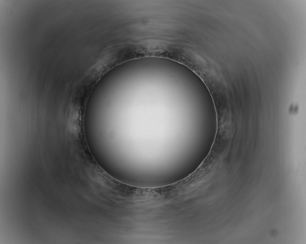 X0000103150866200808221328